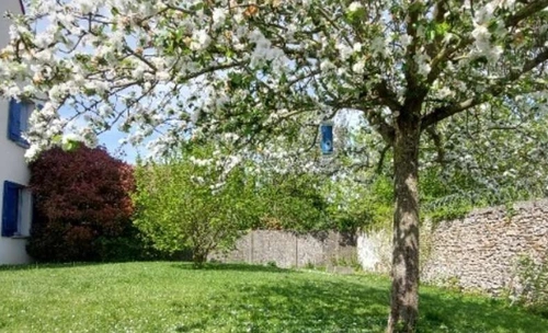 annonce viager occupé à Chailly en Brie